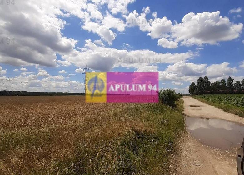 Teren Construcții intravilan de 715 mp, în Snagov