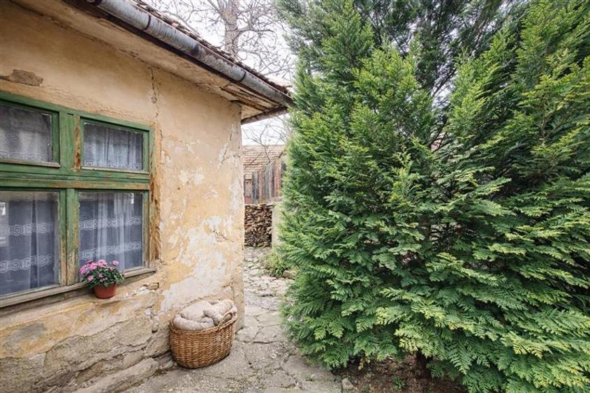 Casa cu 850 mp gradina, Centrul Istoric - Schei, Brasov - 5