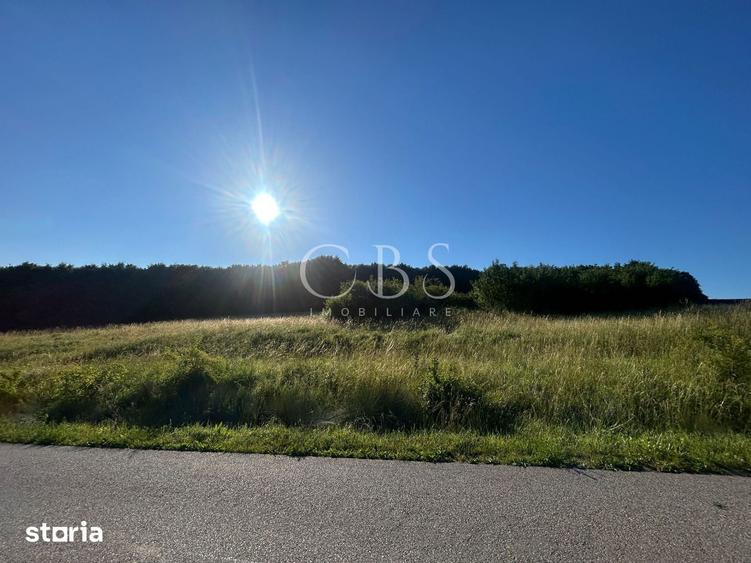 Teren de 6297 mp, în Mociu