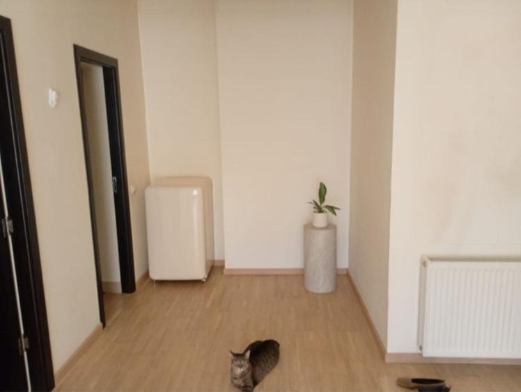 Apartament cu 2 camere în Băneasa