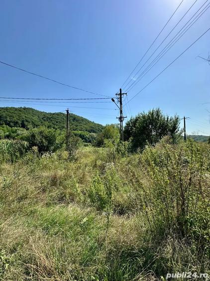Teren de 2900 mp, în Zam