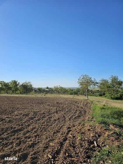 Teren de 5000 mp, în Sânmartin