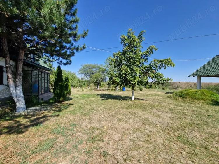 Casă cu 6 camere cu Teren 3000 Mp în Ruginești
