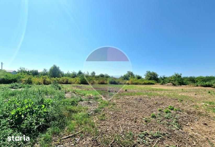 Teren de 1800 mp, în Sărata