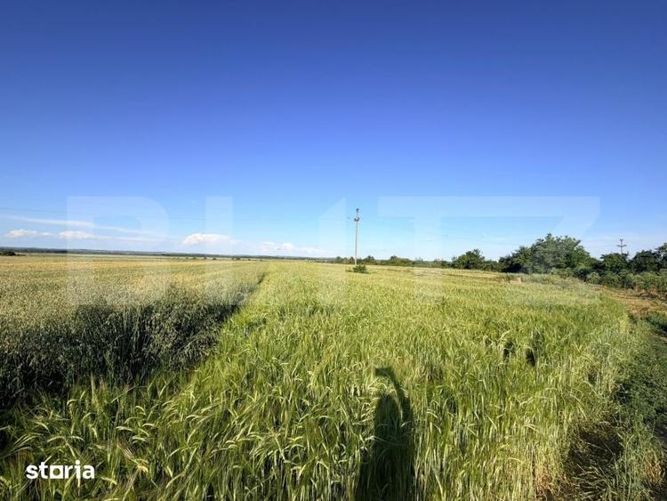 Teren de 9550 mp, în Brazda lui Novac