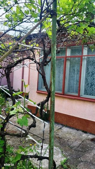 Casă cu 3 camere cu Teren 540 Mp în Central