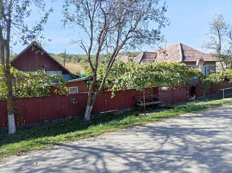 Casă cu 2 camere cu Teren 1369 Mp în Diviciorii Mici