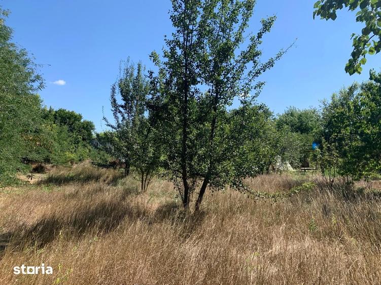 Teren de 4000 mp, în Grădina
