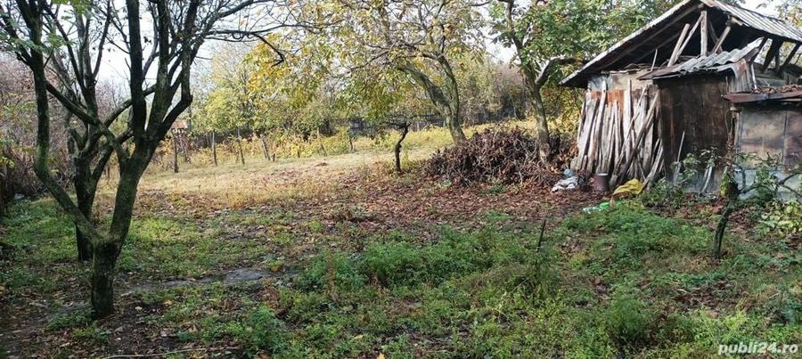 Casă cu 3 camere cu Teren 2493 Mp în Pădina