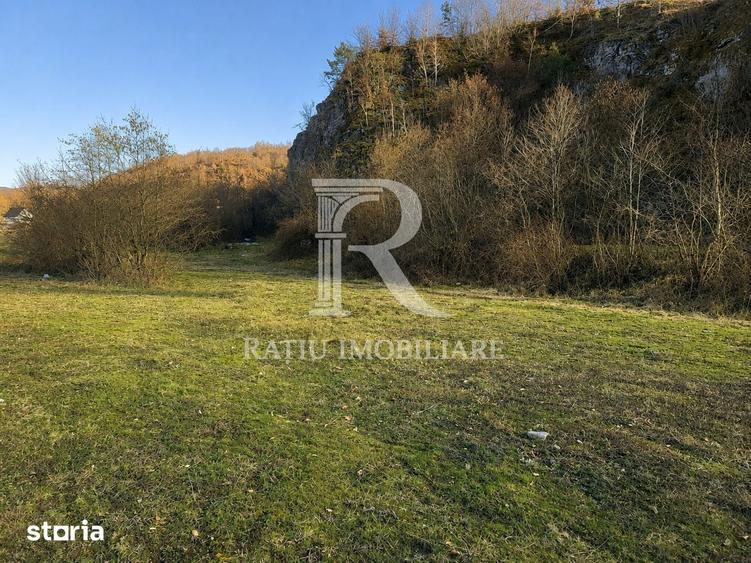 Teren intravilan | Loc de cabana | Balnaca | Bihor - 1