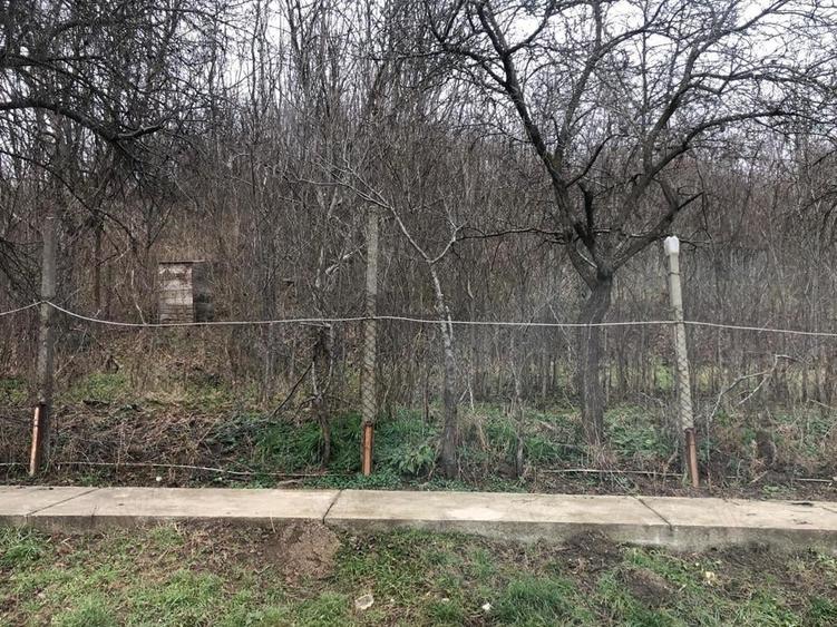 Teren de 3478 mp, în Viișoara