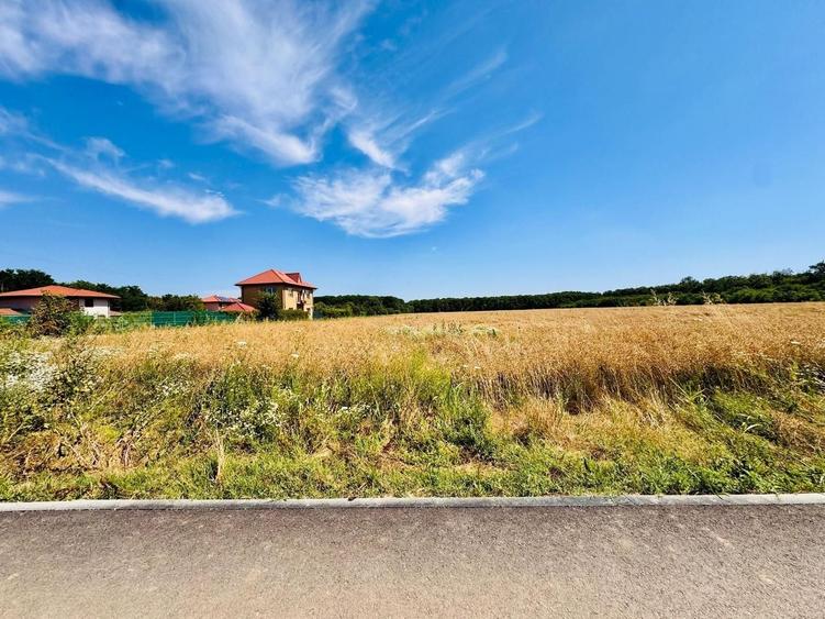 Teren Construcții intravilan de 1600 mp, în Ciofliceni
