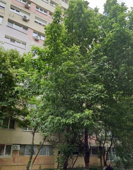 Apartament cu 2 camere semidecomandat în Iancului