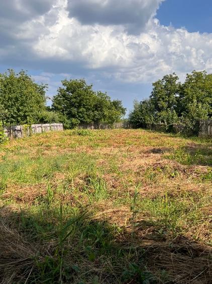 Teren agricol intravilan de 1264 mp, în Borșani