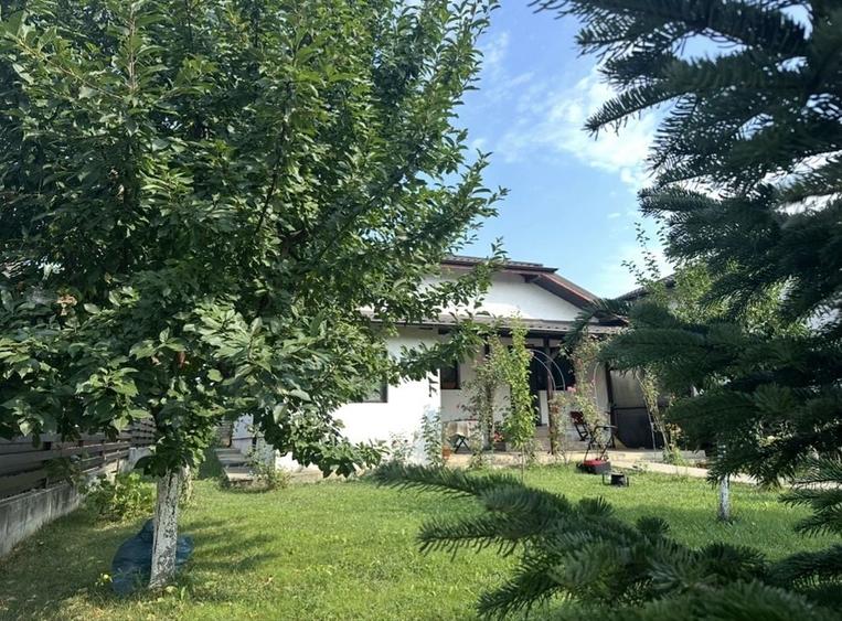 Casa individuala Buftea-Crevedia - 6