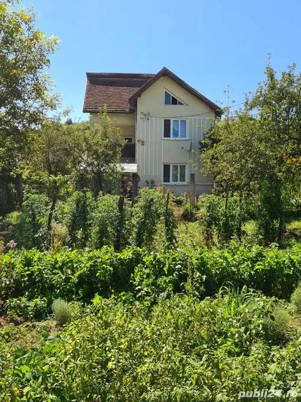 Casă cu 5 camere în Central