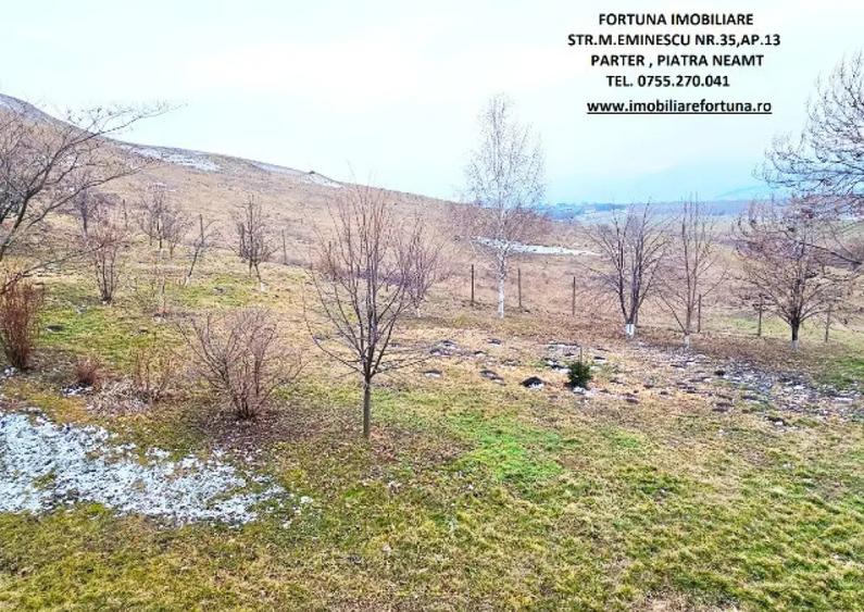 Casă cu 5 camere cu Teren 2000 Mp în Ciritei