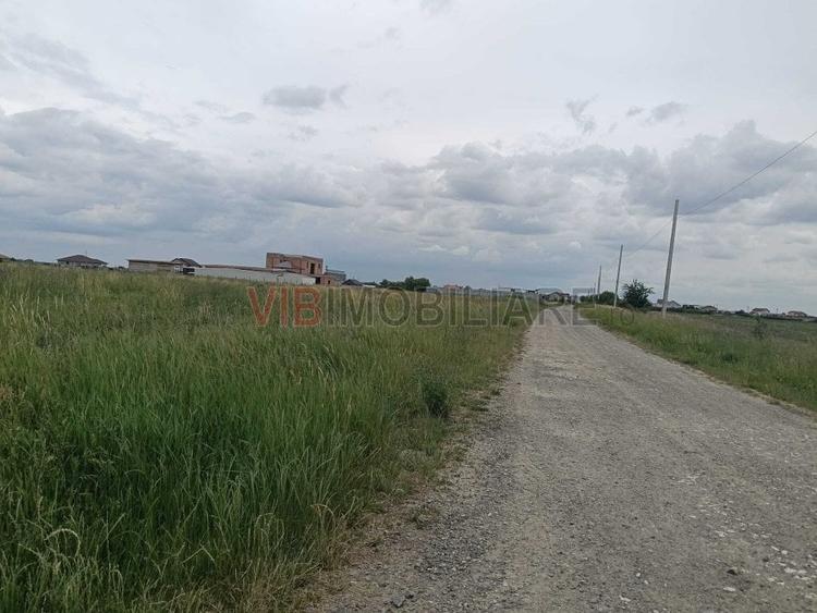 Terenuri de vânzare | Săcălaz|  oportunități investiționale - 11