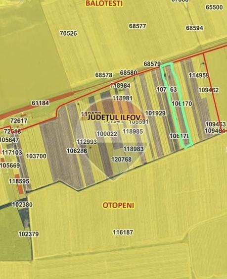 Teren Construcții intravilan de 27700 mp, în Exterior Nord