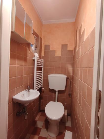 Casă individuală cu 5 camere cu Canalizare în Pache Protopopescu