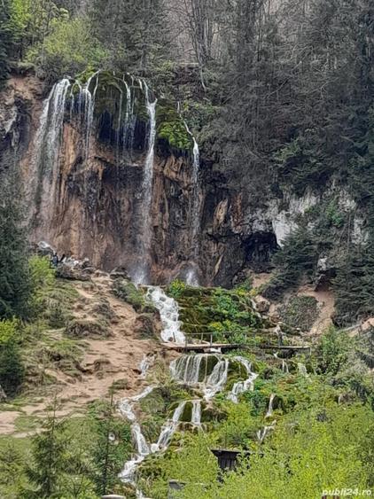 Teren de 950 mp, în Vidra