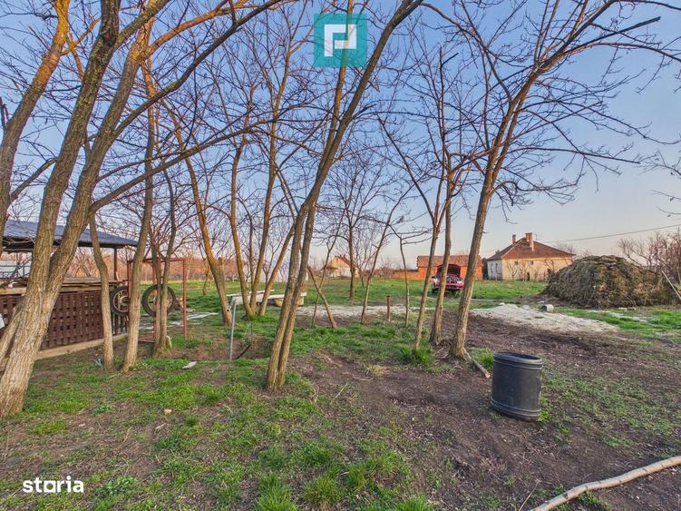 Casă cu 7 camere cu Teren 3141 Mp în Macea