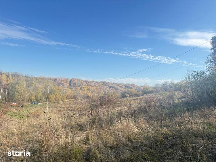 Teren de 1984 mp, în Răzvad