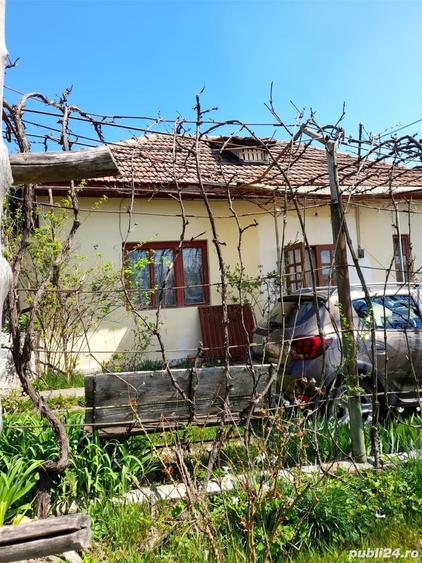 Teren de 46 mp, în Brănești