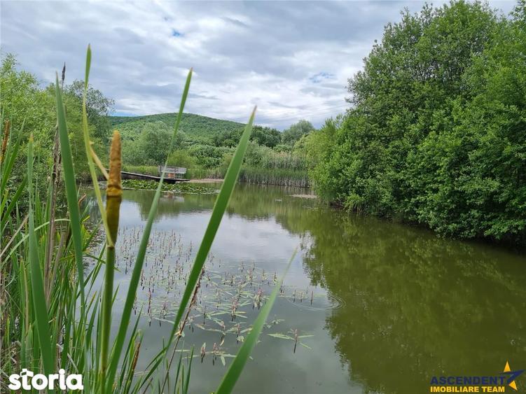 Casă cu 7 camere cu Teren 25000 Mp în Hărman