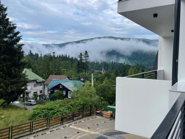 Apartament superb, la 300m de Peles, complex Chatel, 2025, 71mp, la cheie - 46