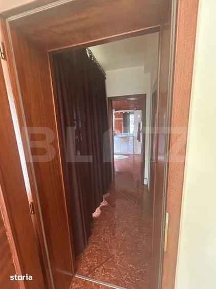 Casă cu 6 camere cu Teren 3982 Mp în Remetea Mare