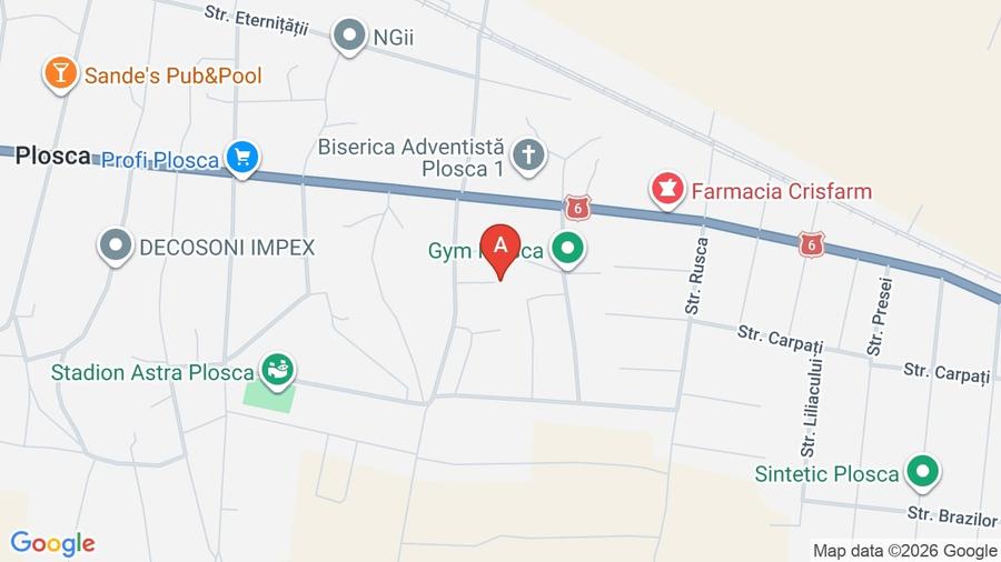 Casă individuală cu 5 camere cu Teren 1203 Mp în Plosca