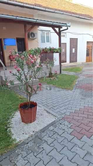 Casă cu 4 camere în Lipova