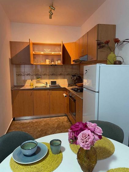 Apartament cu 2 camere nedecomandat în Central