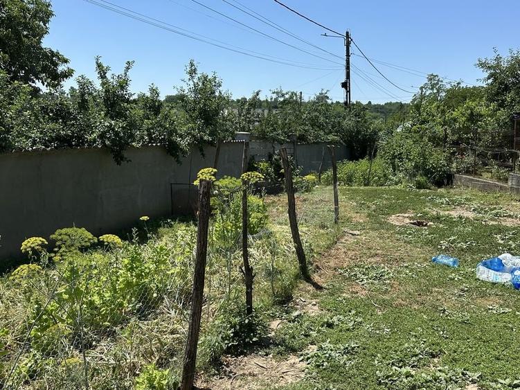 Casă cu 2 camere în Mareș