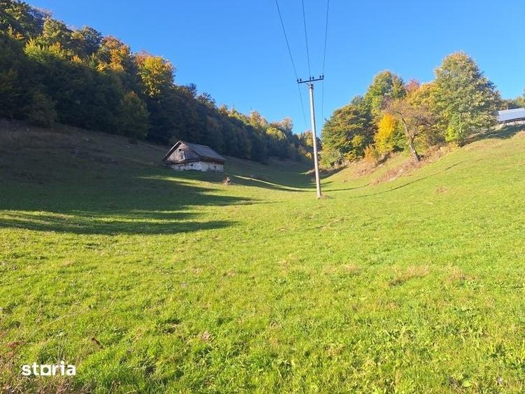 Teren de 16000 mp, în Dâmbovicioara