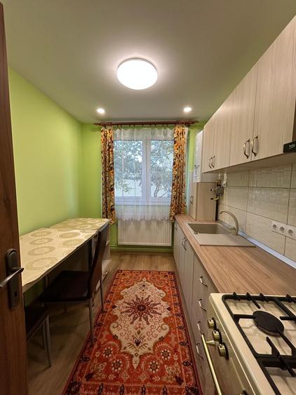 Apartament cu 2 camere în Săsar
