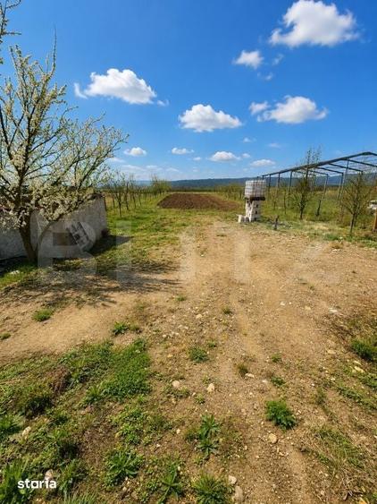 Casă cu 5 camere cu Teren 2400 Mp în Beriu