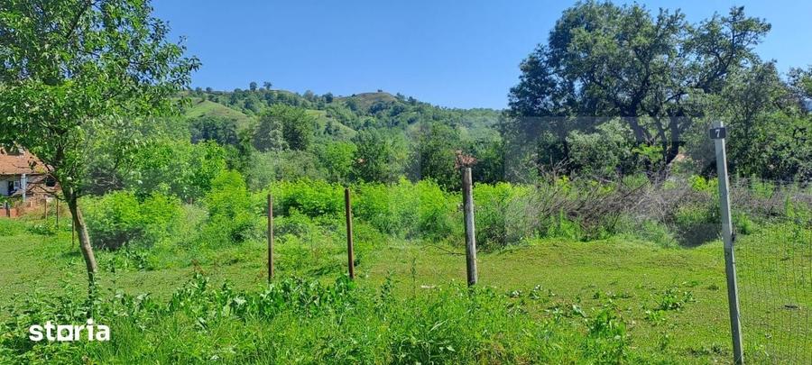 Teren de 1000 mp, în Ucea