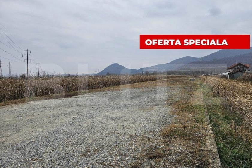 Teren Construcții intravilan de 2600 mp, în Șoimuș