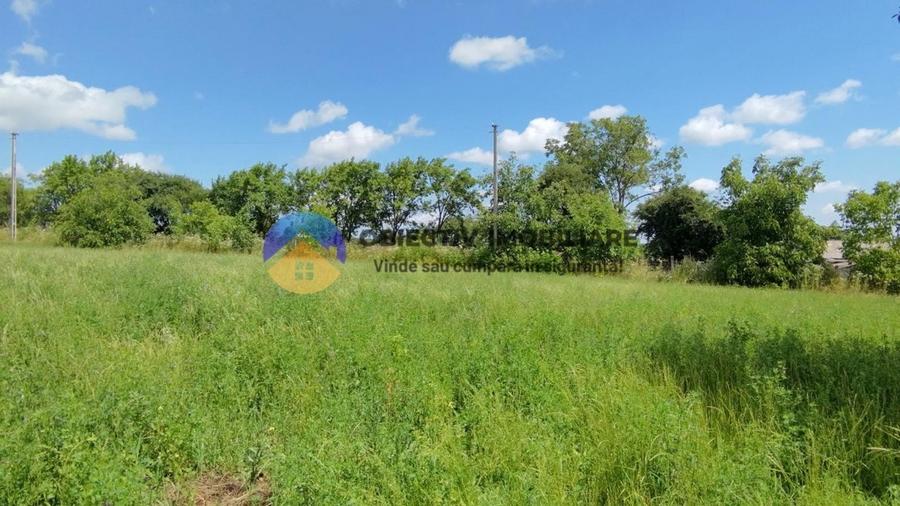 Teren Construcții intravilan de 5654 mp, în Dragomirești