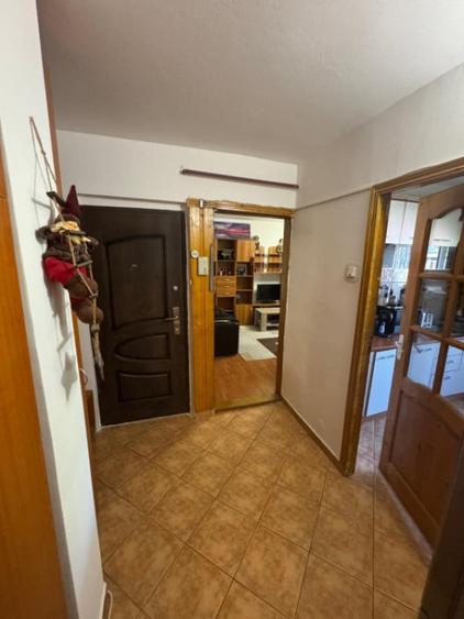 Apartament cu 2 camere decomandat în Brazda lui Novac