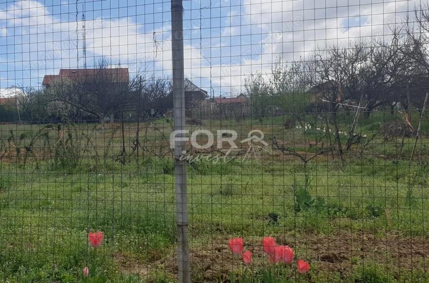 Teren de 2537 mp, în Spitalul Județean
