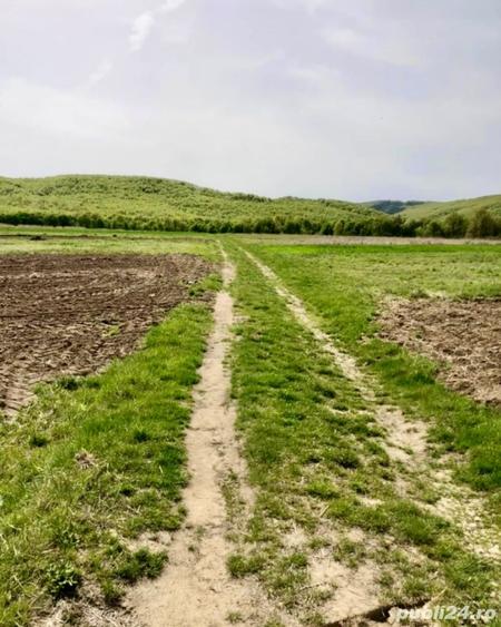 Teren de 3700 mp, în Bârsești (Budești)
