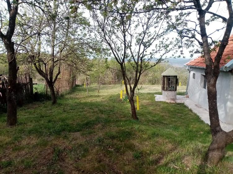 Casă cu 2 camere cu Teren 8000 Mp în Barbura
