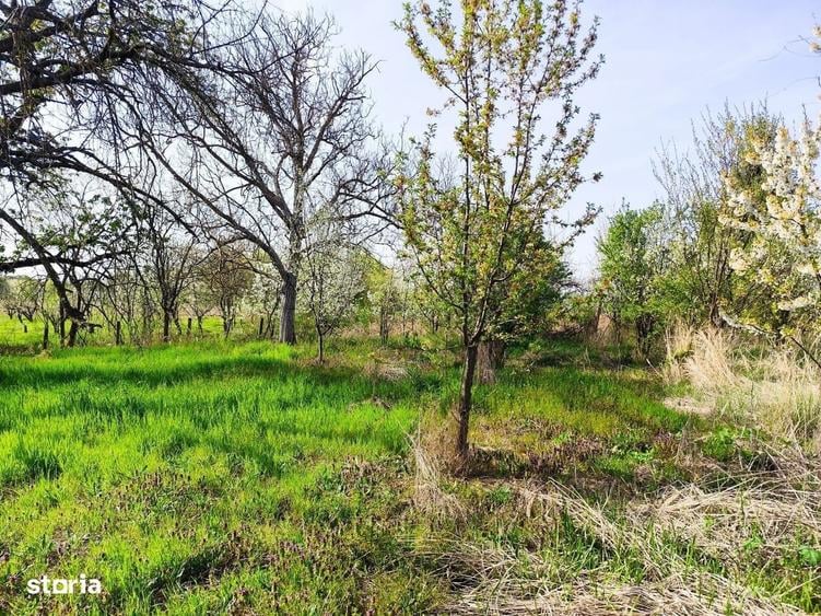 Casă cu 4 camere cu Teren 4122 Mp în Petid