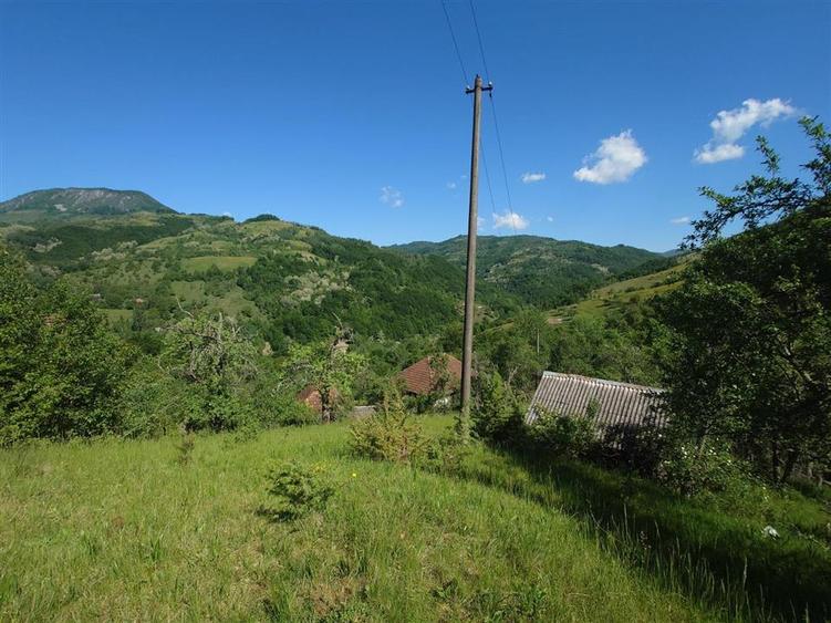 Casă individuală cu 3 camere cu Teren 34965 Mp în Blăjeni