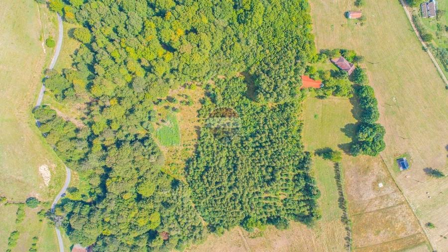 Teren agricol extravilan de 741 mp, în Poiana Mărului