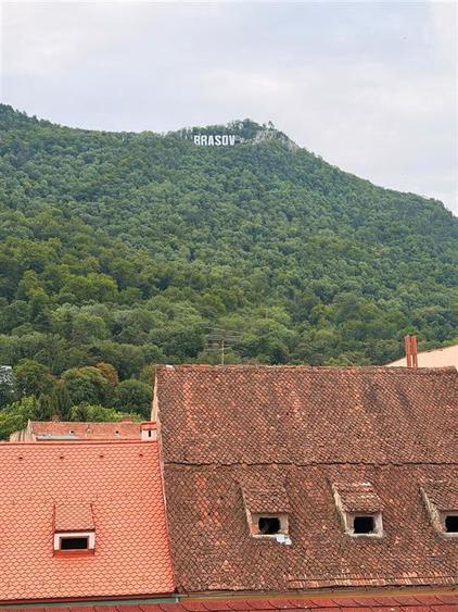 Hotel/Pensiune, de 421 mp, în Centrul Istoric