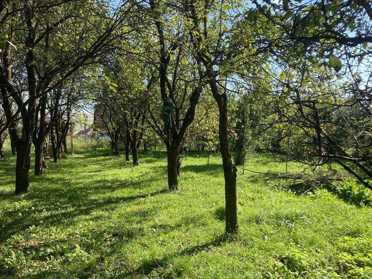 Teren de 1700 mp, în Rediu